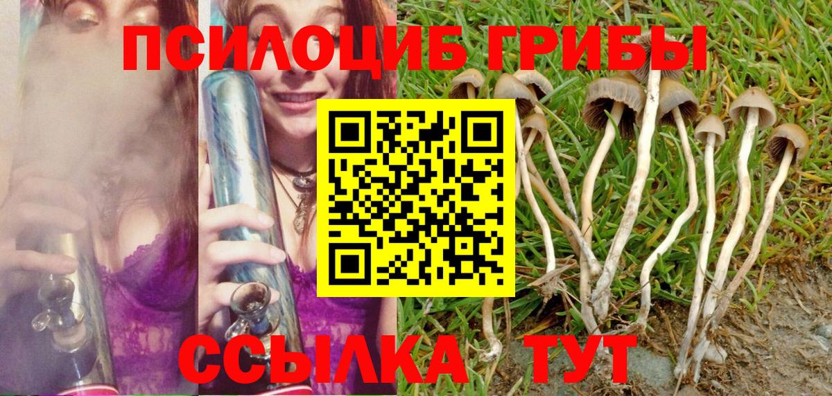Псилоцибиновые грибы прущие грибы Абинск